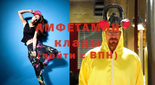 индика Вязники